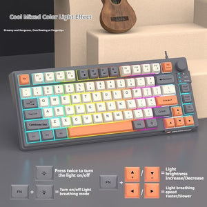 Elevate Your Gaming Experience with the Wired USB Mechanical Gaming Keyboard
